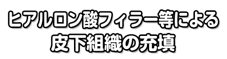 ヒアルロン酸フィラー等による皮下組織の充填