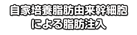 自家培養脂肪由来幹細胞による脂肪注入