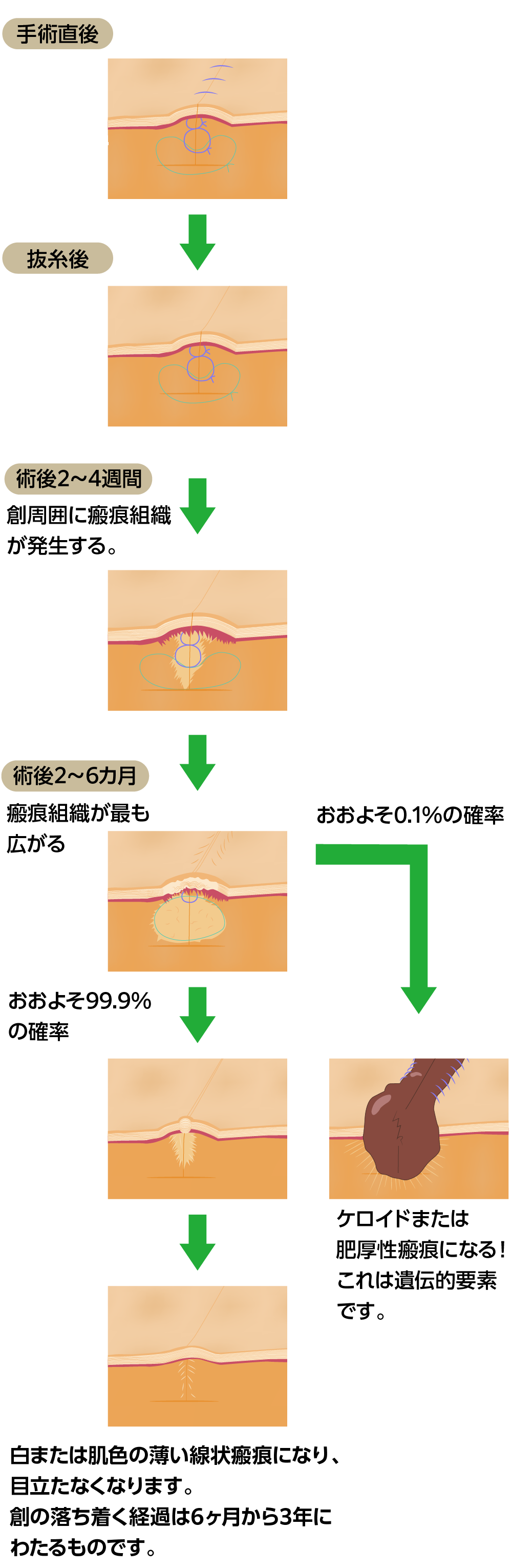 創の経過