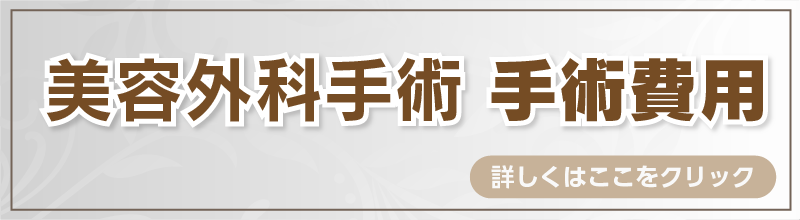 美容外科手術 価格表